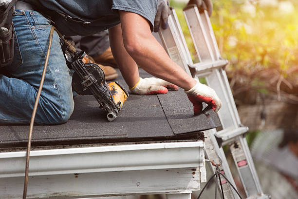 Best Roof Gutter Cleaning  in Walhalla, SC